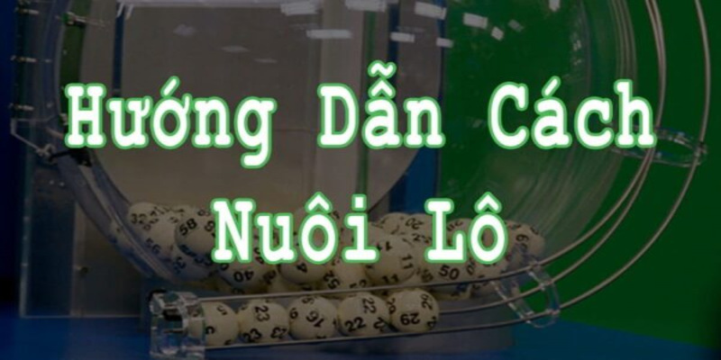 Nuôi lô khung và các lợi ích của nó